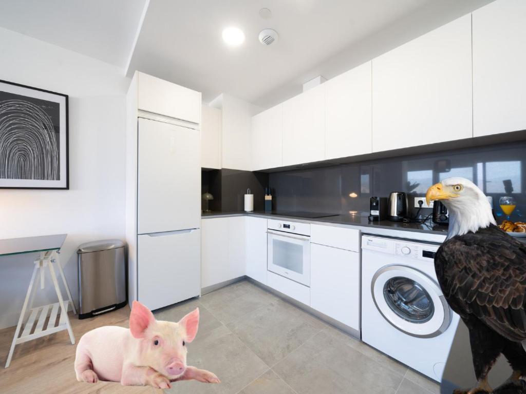 Appartamento Xpce Urban 4 Malaga Skyline - Free Parking Esterno foto