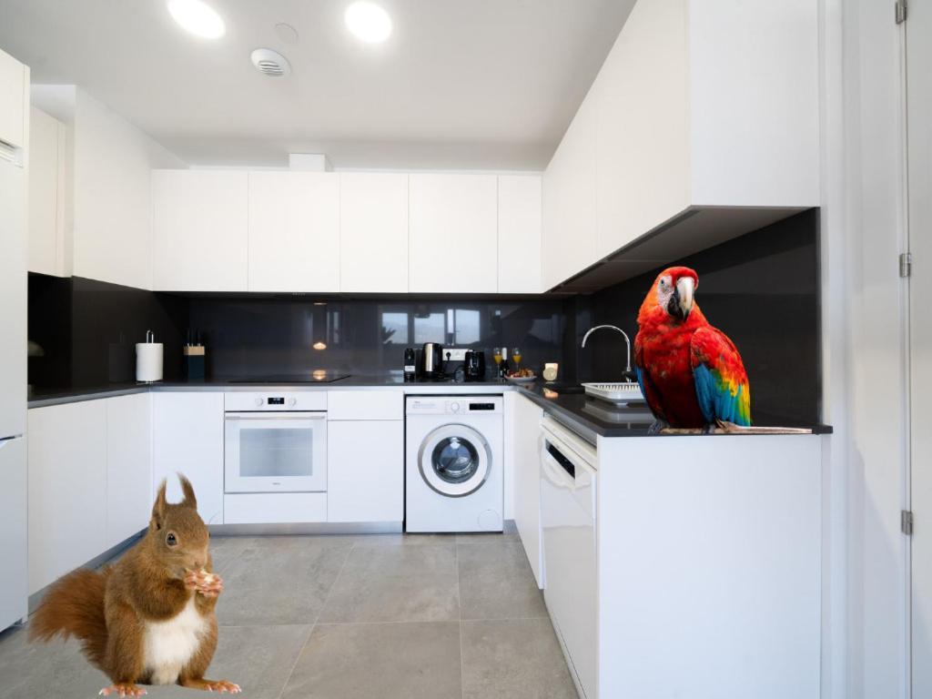 Appartamento Xpce Urban 4 Malaga Skyline - Free Parking Esterno foto